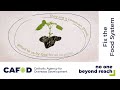 Seed sovereignty and why it should matter to everyone | CAFOD