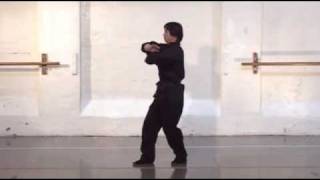 Preview: Austin Goh - Wing Chun for Intermediate
