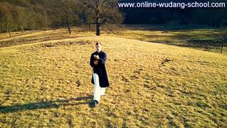 Amazing Wudang Taiji 28 Demonstration