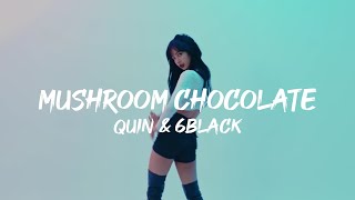 Mushroom Chocolate - Quin 6Black (Lyrics) | Lilifilm Dance Music