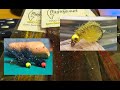 BCFLYGUYS IG Live (2022/01/17) | WMD Tying Demo - Scuds & Leeches