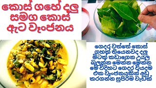 කොස් ගහේ දලු සමග කොස් ඇට වෑංජනය