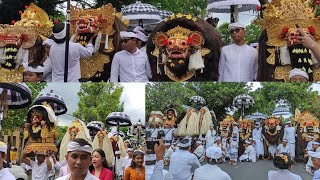 Sesuhunan Kedewatan, Kedewatan Bongkasa & Buangga Melancaran Ring Jagat Kedewatan Ubud Gianyar Part2