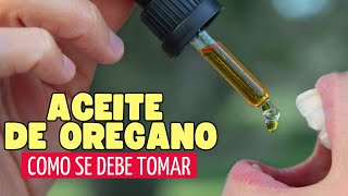 Cómo Utilizar El Aceite De Orégano Para Prevenir Y Tratar Enfermedades 🌿