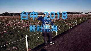 2018 新社花海