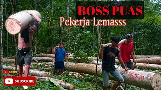 proses blandong kayu albasiah super. tenaga nekad demi boss.