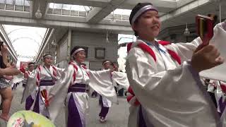 上町よさこい鳴子連　2022.8.11　高知よさこい特別演舞　帯屋町