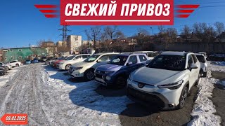 ЦЕНЫ ПАДАЮТ❗️АВТО ПОД ЗАКАЗ ИЗ ЯПОНИИ❗️09.02.2025❗️