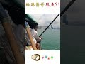 維港基哥甩魚 維港 基哥 香港釣魚 艇釣 手絲釣魚 shorts