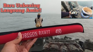 Tes Tegek Oregon Rawit 450 Langsung Amis, Mancing Pakai Tegek Umpan Udang Hidup!!