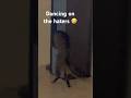 Why she kinda hit that tho 😂 #dancingcat #catdance #funnycatvideos #catmemes #catshort #funnycat