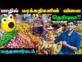 🔴 பெற்றோர்களால் சீரழிந்து செல்லும் யாழ்ப்பாணம் 😢 😢 😢 | Jaffna Vegetable Market | Jaffna Thanush