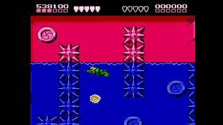 Even with the Rewind Feature: Battletoads on the NES in Hard Mode