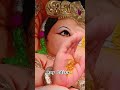 Balapur Ganesh Eye Painting 2023 | Dhoolpet Ganesh Idols #shorts #viral #trending #ytshorts