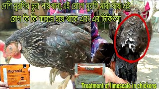 মুরগির চুনা পায়খানা এই রোগের চিকিৎসা  Treatment of this disease in chicken lime toilet