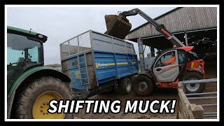 CARTING BIG LOADS OF MUCK TO THE FIELD!