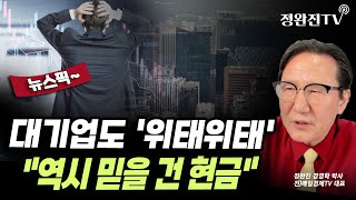 [뉴스픽] 대기업도 '위태위태'...\