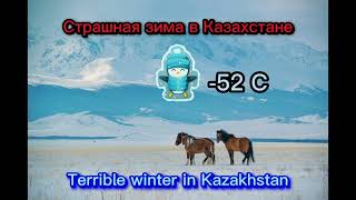 Зима в степях Казахстана | -52С | Животные замерзли | Terrible winter in Kazakhstan