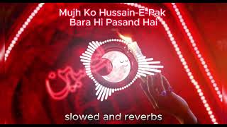 Manqabat: Mujh Ko Hussain-E-Pak Bara Hi Pasand Hai | Hafiz Tahir Qadri (Slowed Reverb)