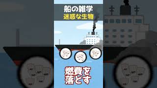 【大損害】船/船乗りを襲う害悪生物たち＃Shorts