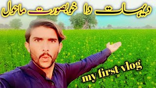 Beautiful Village Life in Pakistan | MY FIRST VLOG ❤ || MY FIRST VIDEO ON YOUTUBE