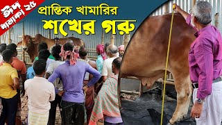 1168-প্রান্তিক খামারীর বড় ষাড় গরু, সেই সাথে অসাধারন গ্রামীন চিত্র। R.I.Manik.Chitrapuri Krishichitra