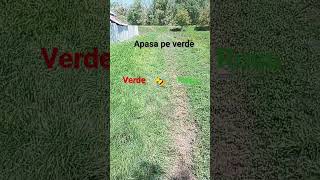 apasă pe verde #rosu #verde