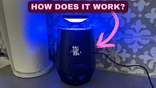 Fruit Fly Traps for Indoors, Smart Flying Insect Trap with Temperature and Humidity Sensor Review