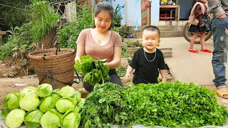 Harvesting Vegetable Goes To The Market Sell, Take Care Animals - Cooking Meat stuffed Gourd