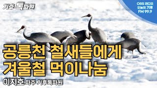 파주 공릉천 철새들에게 겨울 먹이나눔하실분~ 이지호 기후톡파원