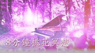 8分鐘桃花冥想｜靜心禪導引入門｜雨揚老師