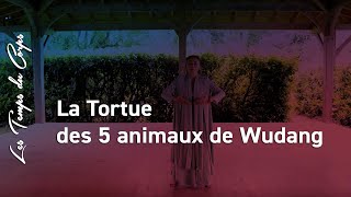 Maître Ke Wen présente le mouvement de la Tortue des 5 animaux de Wudang