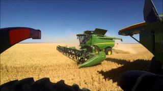 Australian wheat harvest 2013