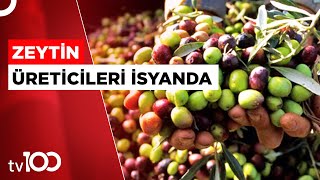 Aydın'daki Zeytin Üreticileri Fiyatlara İsyan Etti | TV100 Haber