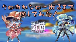 【白猫プロジェクト】茶熊学園2022ガチャクロカかシロー出るまで回してみた！