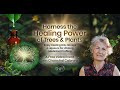 Harness the Healing Power of Trees & Plants | Chanchal Cabrera