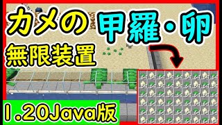 【マイクラ1.20Java版】全自動カメの甲羅、卵が簡単に手に入るカメトラップの作り方！ 1.20　Minecraft​　ソラクラ