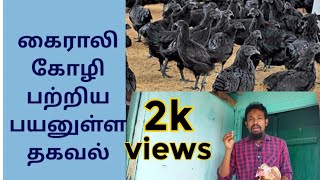 முட்டைக்கு கைராலி கோழி+ கைராலி பற்றி பயனுள்ள தகவல்#kairalikozli