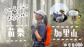 登山vlog | 苗栗加里山 | 三刷絕對值得 | 大坪登山口 | 苗栗景點 | 中級山 | 20230730 |