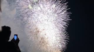 江戸川区花火大会 2019 program No.8 Edogawa Fireworks Festival