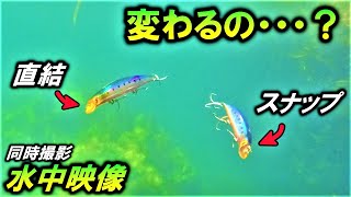 【検証】水中映像 。ルアー の アクション が変化！？リーダー直結とスナップ編！人気シーバスルアーimaサスケ裂波を使用