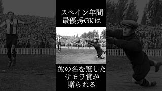 サッカー選手名鑑/リカルド•サモラ/サッカーの歴史最高クラスと評される神聖なるGK/#サッカー #スペイン #バルセロナ #football #soccer #ワールドカップ #shorts