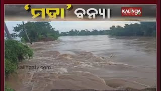 Rising Water-level In Rivers Causes Flood In Areas Of Kendrapada, Khordha And Puri || Kalinga TV