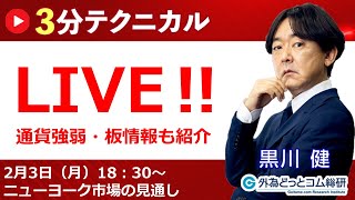 見通しズバリ！3分テクニカル分析「ライブ‼」 NY市場の見通し　2025年2月3日