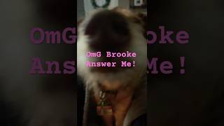 Omg Brooke Answer me #music #musical #broadway #funny #song #brooke