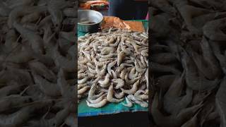 Jampeta fish market#fish #fishmarket #rajahmundry #shortsfeed #seafood #fishcutting #food