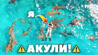 Surrounded by sharks in the Maldives 🇲🇻 Nurse sharks and the longest sand bank [ENG subtitles]