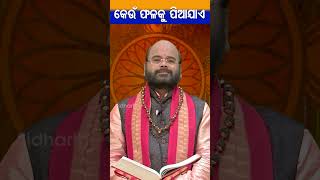 କେଉଁ ଫଳକୁ ପିଆଯାଏ | Charan Ram Das | #bhaktirasa #charanramdas