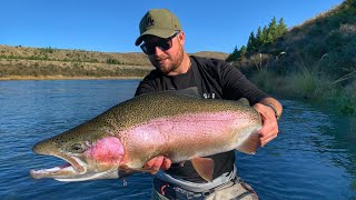 Fly Fishing For HUGE Pre Spawn NZ Trout