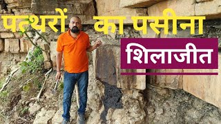 Shilajit Kaha Milta Hai | Shilajeet | Shilajit |Shilajit ke Fayde | शिलाजीत | Shilajit Review |